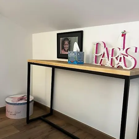 Apartment Very In Duplex Center Lyon