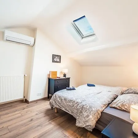 Apartment Very In Duplex Center Lyon